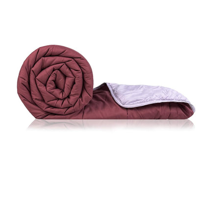 Light Purple and Burgundy Reversible Solid Comforter